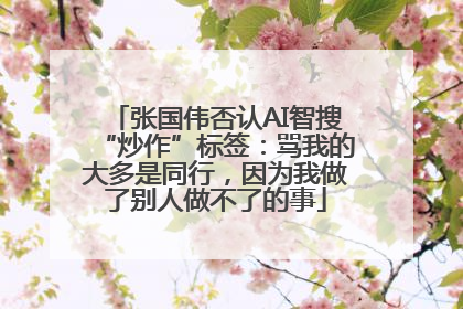 张国伟否认AI智搜“炒作”标签：骂我的大多是同行，因为我做了别人做不了的事