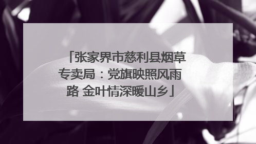 张家界市慈利县烟草专卖局：党旗映照风雨路 金叶情深暖山乡