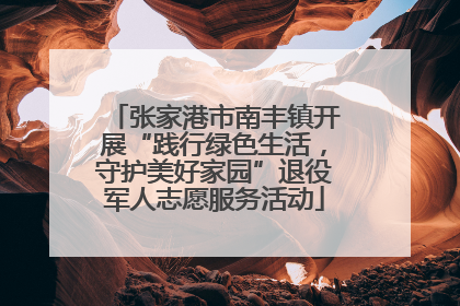 张家港市南丰镇开展“践行绿色生活，守护美好家园”退役军人志愿服务活动
