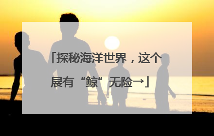 探秘海洋世界，这个展有“鲸”无险→