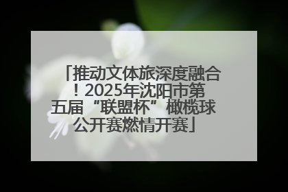 推动文体旅深度融合！2025年沈阳市第五届“联盟杯”橄榄球公开赛燃情开赛