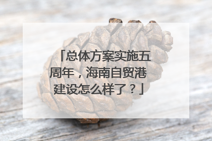 总体方案实施五周年，海南自贸港建设怎么样了？