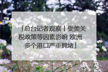 总台记者观察丨受美关税政策等因素影响 欧洲多个港口严重拥堵