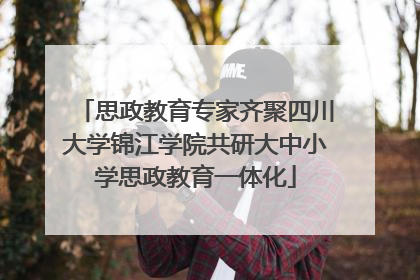 思政教育专家齐聚四川大学锦江学院共研大中小学思政教育一体化