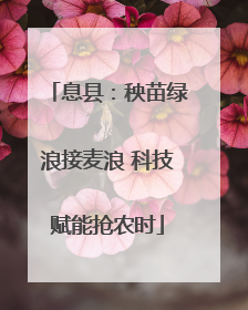 息县：秧苗绿浪接麦浪 科技赋能抢农时