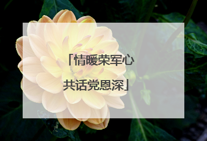 情暖荣军心 共话党恩深