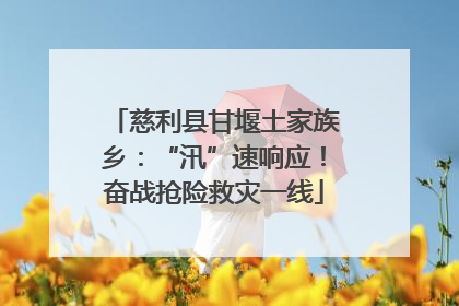 慈利县甘堰土家族乡：“汛”速响应！奋战抢险救灾一线