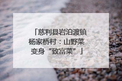 慈利县岩泊渡镇杨家桥村：山野菜变身“致富菜”