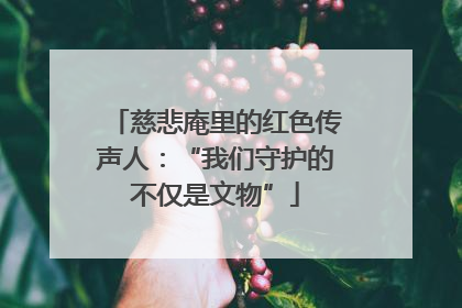 慈悲庵里的红色传声人：“我们守护的不仅是文物”