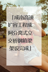 成南高速扩容工程成阿分离式立交桥钢箱梁架设完成