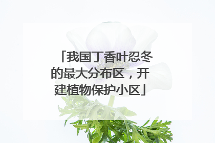 我国丁香叶忍冬的最大分布区，开建植物保护小区