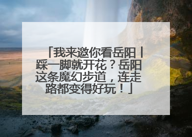 我来邀你看岳阳丨踩一脚就开花？岳阳这条魔幻步道，连走路都变得好玩！