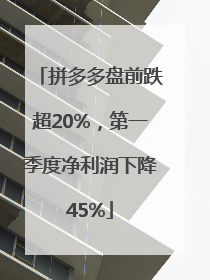 拼多多盘前跌超20%，第一季度净利润下降45%