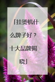 挂烫机什么牌子好？十大品牌揭晓