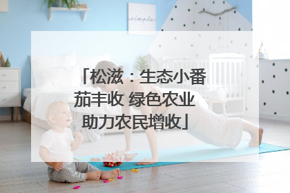 松滋：生态小番茄丰收 绿色农业助力农民增收