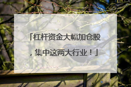 杠杆资金大幅加仓股，集中这两大行业！