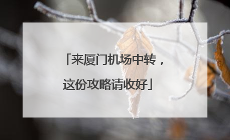 来厦门机场中转，这份攻略请收好