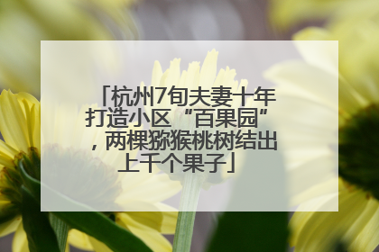 杭州7旬夫妻十年打造小区“百果园”，两棵猕猴桃树结出上千个果子