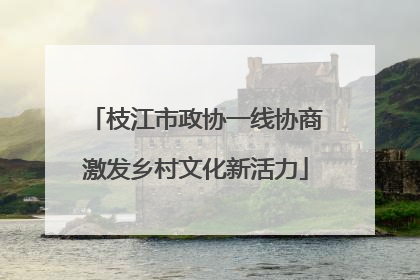 枝江市政协一线协商激发乡村文化新活力