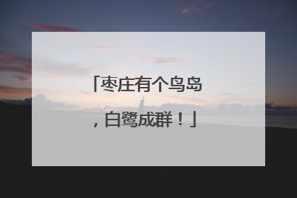 枣庄有个鸟岛，白鹭成群！