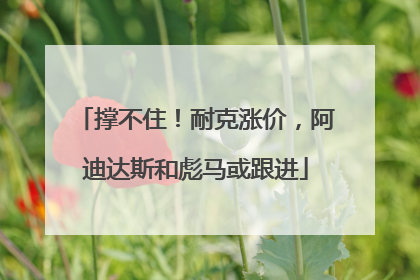 撑不住！耐克涨价，阿迪达斯和彪马或跟进