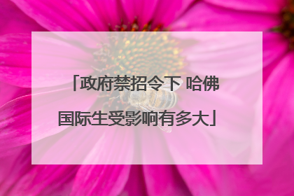 政府禁招令下 哈佛国际生受影响有多大