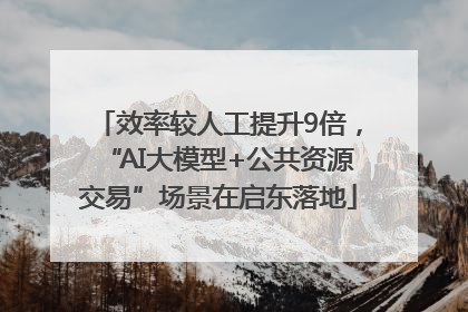 效率较人工提升9倍，“AI大模型+公共资源交易”场景在启东落地