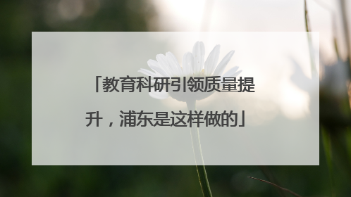 教育科研引领质量提升，浦东是这样做的