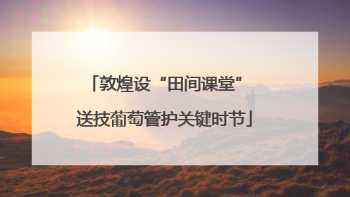 敦煌设“田间课堂” 送技葡萄管护关键时节