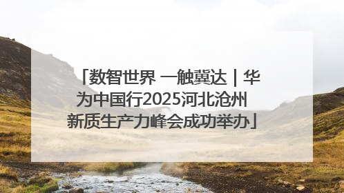 数智世界 一触冀达｜华为中国行2025河北沧州新质生产力峰会成功举办