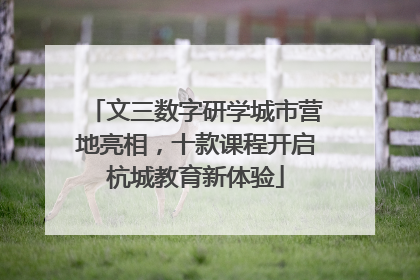 文三数字研学城市营地亮相，十款课程开启杭城教育新体验