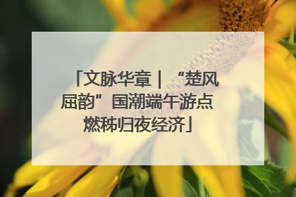 文脉华章｜“楚风屈韵”国潮端午游点燃秭归夜经济