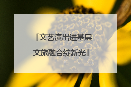 文艺演出进基层 文旅融合绽新光