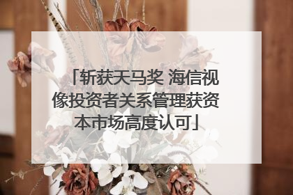 斩获天马奖 海信视像投资者关系管理获资本市场高度认可