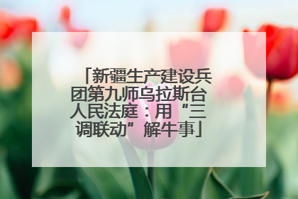 新疆生产建设兵团第九师乌拉斯台人民法庭：用“三调联动”解牛事