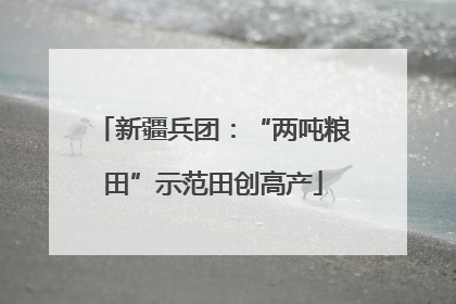 新疆兵团：“两吨粮田”示范田创高产