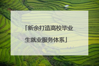 新余打造高校毕业生就业服务体系