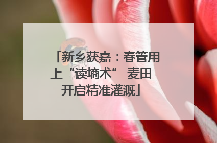 新乡获嘉：春管用上“读墒术” 麦田开启精准灌溉