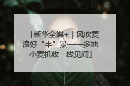 新华全媒+｜风吹麦浪好“丰”景——多地小麦机收一线见闻