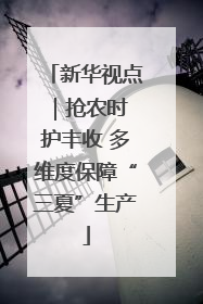 新华视点｜抢农时 护丰收 多维度保障“三夏”生产