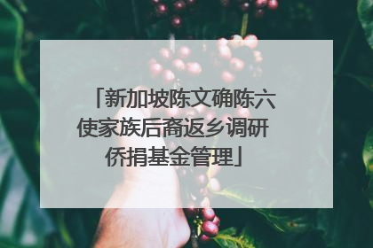 新加坡陈文确陈六使家族后裔返乡调研侨捐基金管理