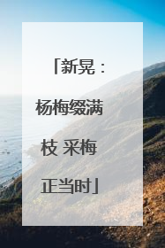 新晃：杨梅缀满枝 采梅正当时