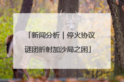 新闻分析｜停火协议谜团折射加沙局之困