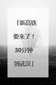 新高铁要来了！30分钟到武汉