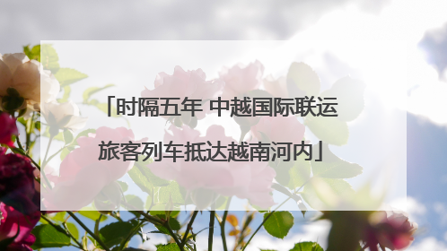 时隔五年 中越国际联运旅客列车抵达越南河内