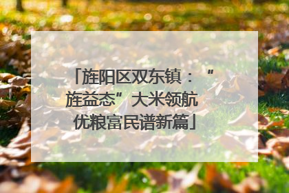 旌阳区双东镇：“旌益态”大米领航 优粮富民谱新篇