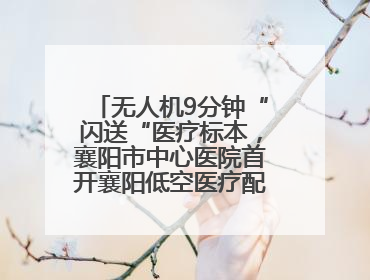 无人机9分钟“闪送“医疗标本，襄阳市中心医院首开襄阳低空医疗配送“空中快