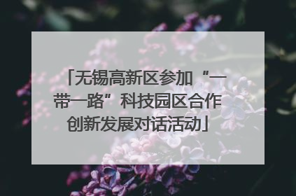 无锡高新区参加“一带一路”科技园区合作创新发展对话活动