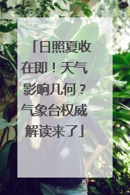 日照夏收在即！天气影响几何？气象台权威解读来了