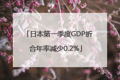 日本第一季度GDP折合年率减少0.2%